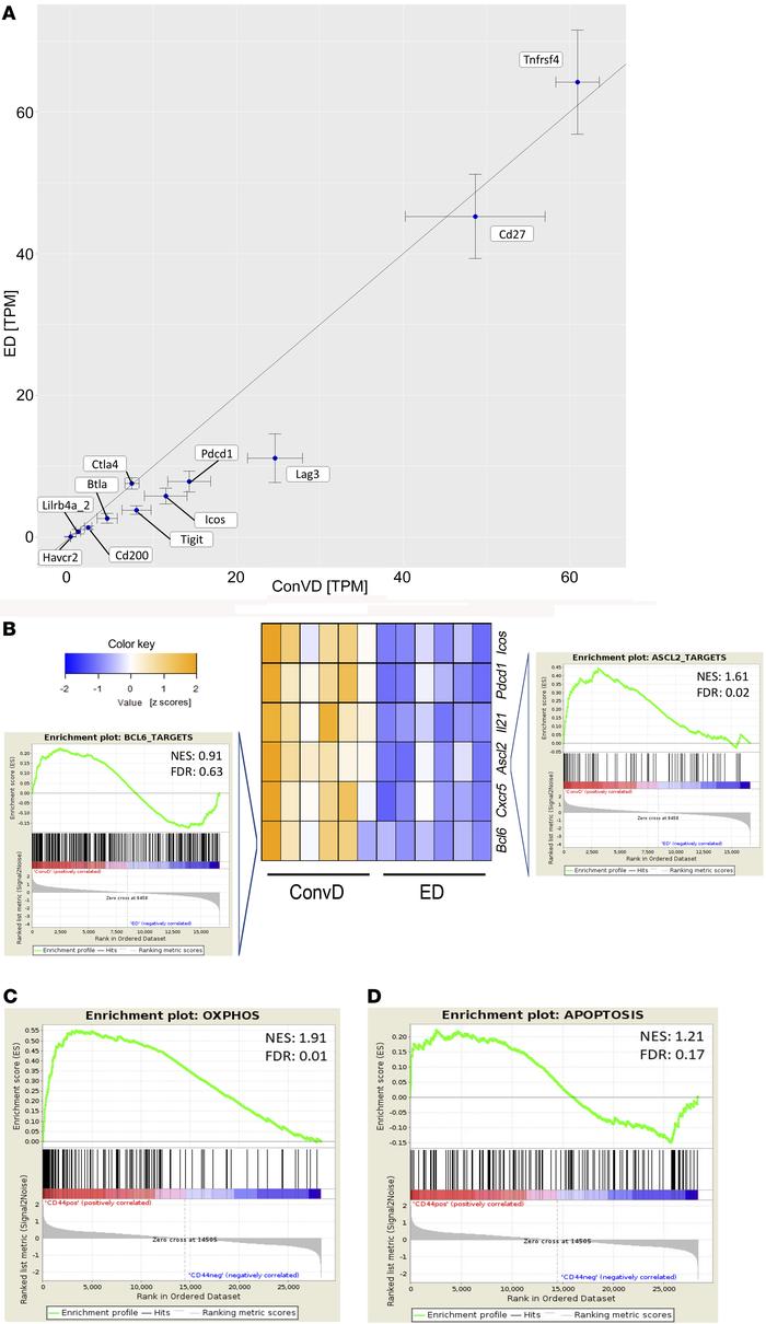 Transcriptional profiling of food antigen–dependent CD4+ T cells in PPs....