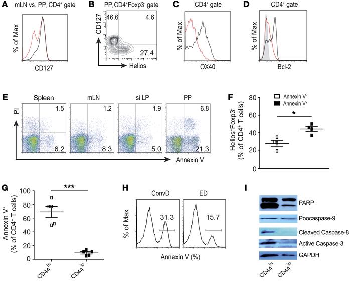 Food antigen–activated T cells undergo apoptosis in PPs.
(A) Expression ...