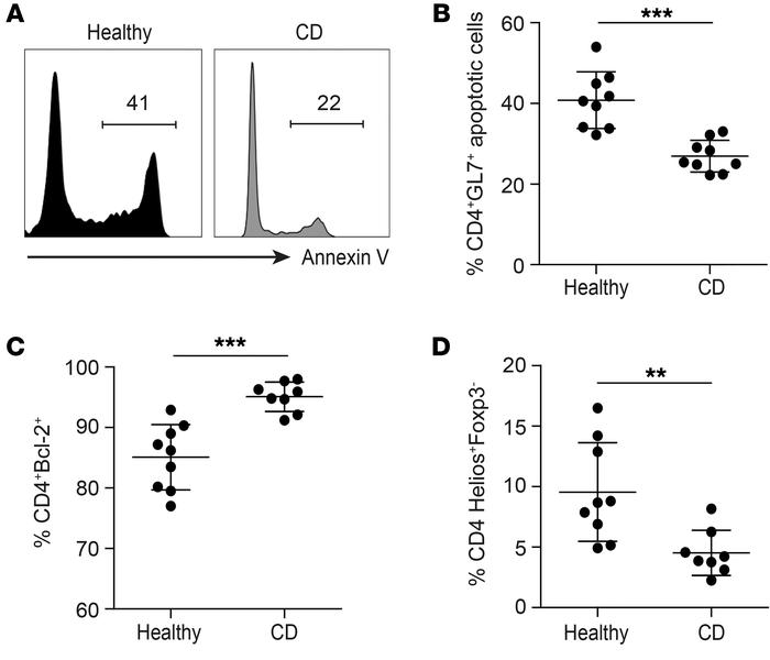 Analysis of CD4+ T cells from human Peyer patches.
(A) Representative hi...