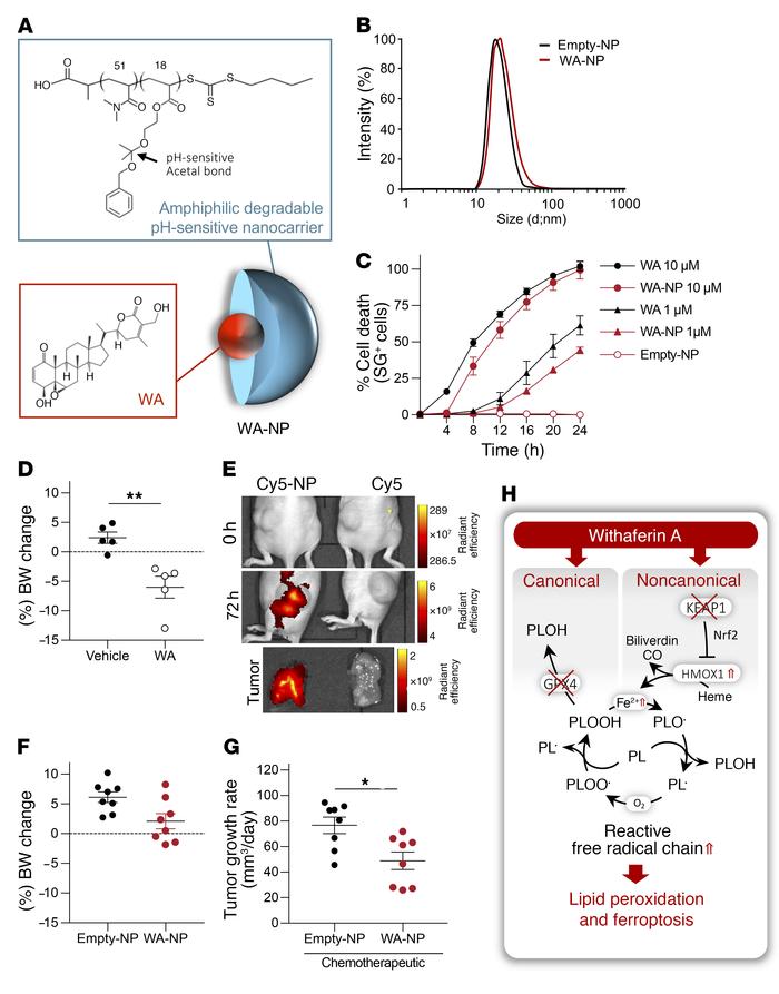 Nano-targeting of WA avoids systemic side effects and suppresses tumor g...