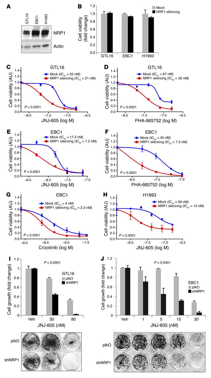 NRP1 controls the therapeutic response to targeted therapy in MET oncoge...