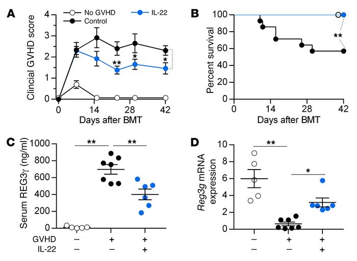IL-22 treatment reverses GVHD.
B6 mice received BM and T cells from C3H....