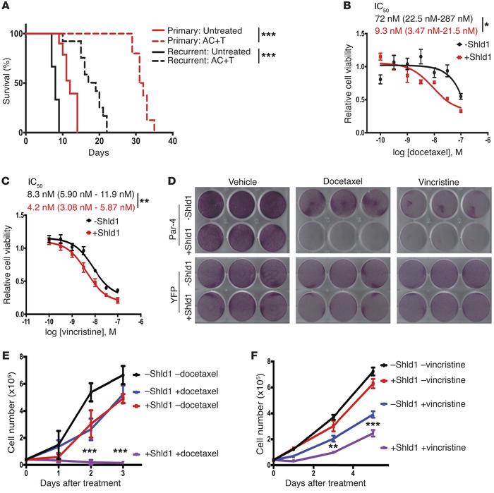 Par-4 reexpression sensitizes recurrent tumor cells to microtubule-targe...
