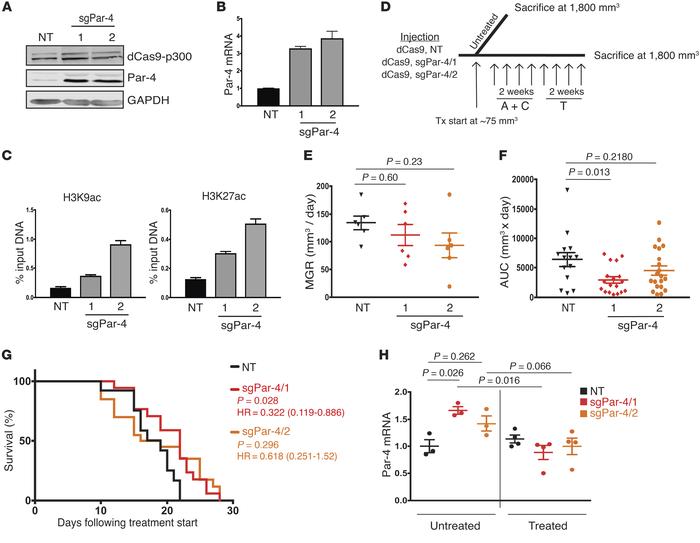 Epigenome editing to reverse Par-4 silencing prolongs survival of mice w...