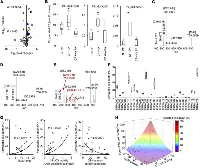 Redox phospholipidomics reveals pro-ferroptotic oxygenated PE species in...