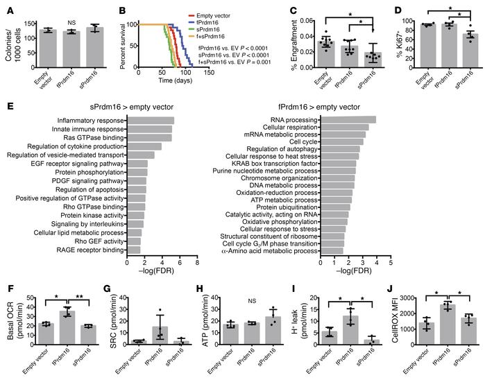 Distinct roles of Prdm16 isoforms in MLL-AF9 leukemia.
(A) Colony-formin...