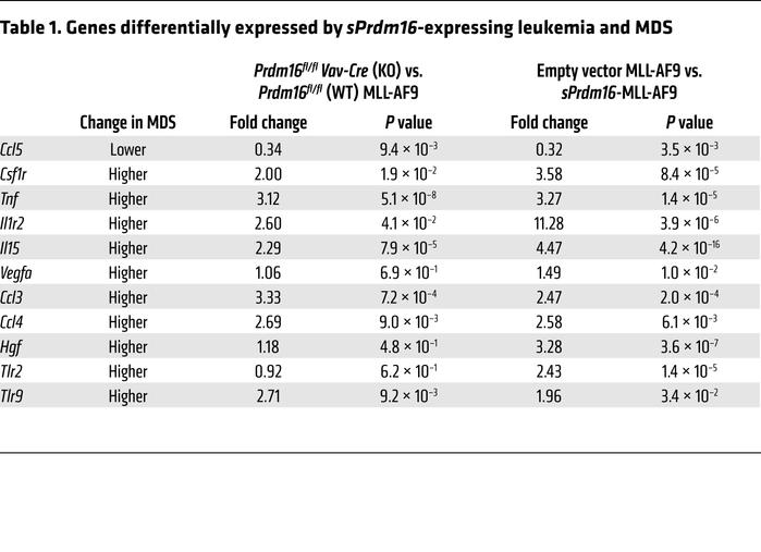Genes differentially expressed by sPrdm16-expressing leukemia and MDS