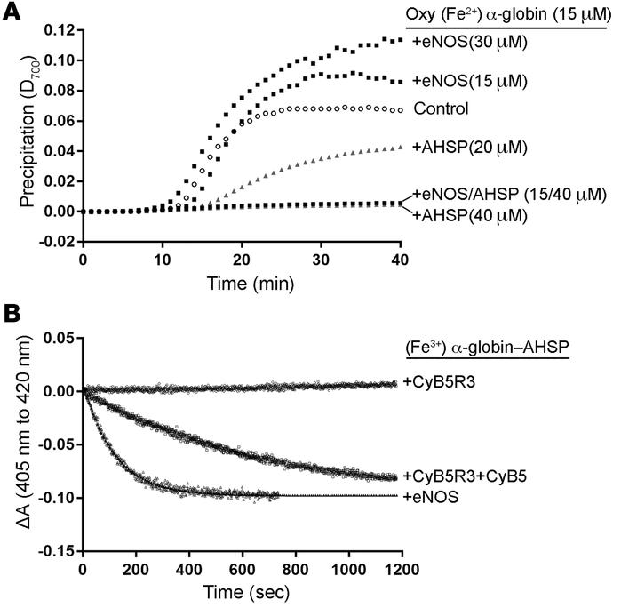 AHSP stabilizes oxidized (Fe3+) α-globin and facilitates its reduction b...